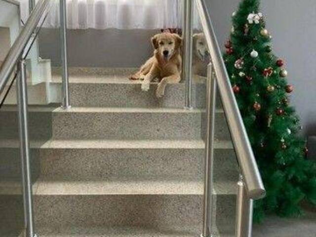 Casa para Venda em São José dos Campos - 3