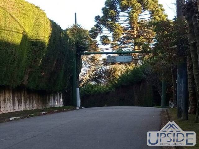 Terreno para Venda em Campos do Jordão - 4
