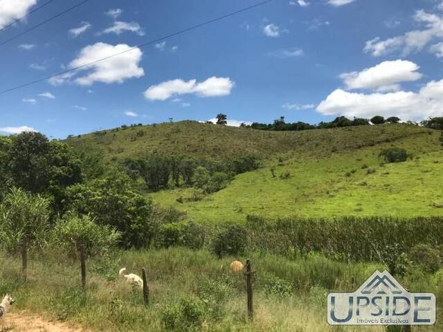 Sítio para Venda em Santa Branca - 4