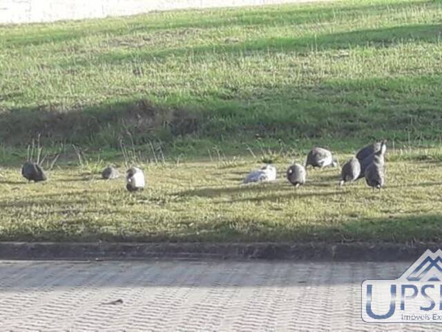 Terreno para Venda em São José dos Campos - 3