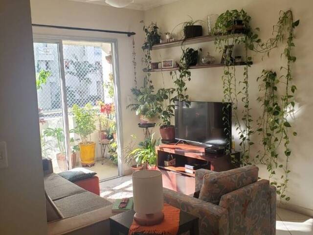 Apartamento para Venda em São José dos Campos - 2